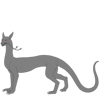 Sphynx