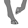 Silver Bones