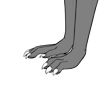Sparkly Bones