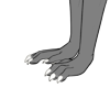Glowing Bones
