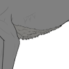 Short Belly Fur