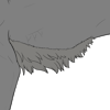 Medium Belly Fur