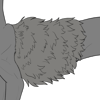 Medium Halfbody Belly Fur