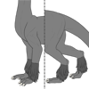 Medium Leg Fur