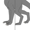 Webbed Feet