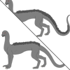 Medium Back Fur
