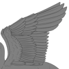 Bird Wings