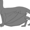 Wyvern Wings