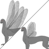 Insect Wings