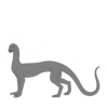 Sparkle Charm