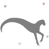 Spirit Bubbles
