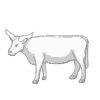 Selene's Bull