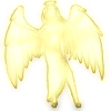 Angelic Fae