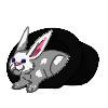 Magic White Rabbit