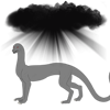 Shadow Veil