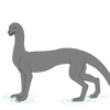 Ripple Step
