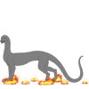 Fiery Steps