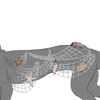 Net Cape