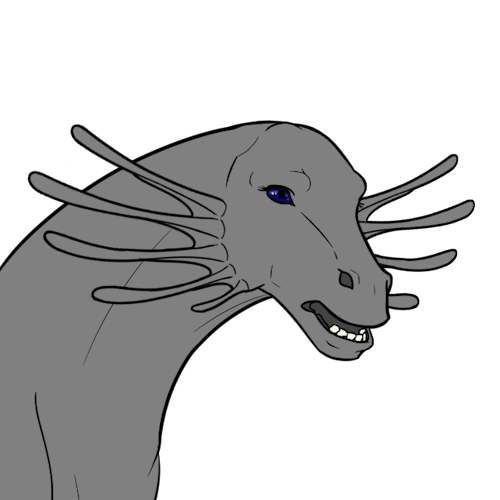 Kelpie Cheeks (Sub)