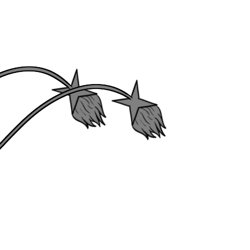 Medium Furred 4-Pointed Star Ends