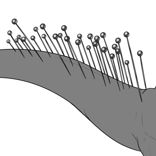 Probing Needles (Sub)