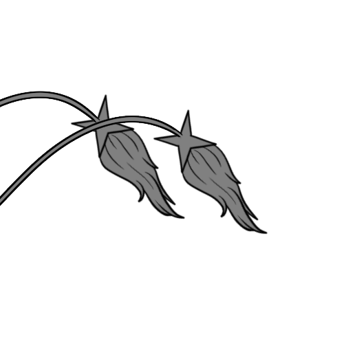 Long Furred 4-Pointed Star Ends