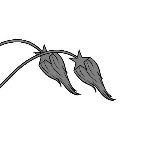 Long Furred 5-Pointed Star Ends
