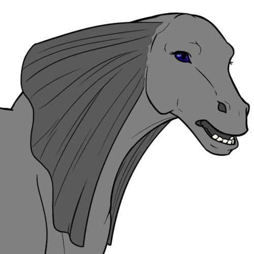 Dilo Frill