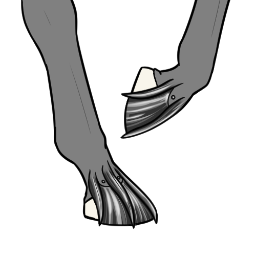 Metal Claws (Sub)