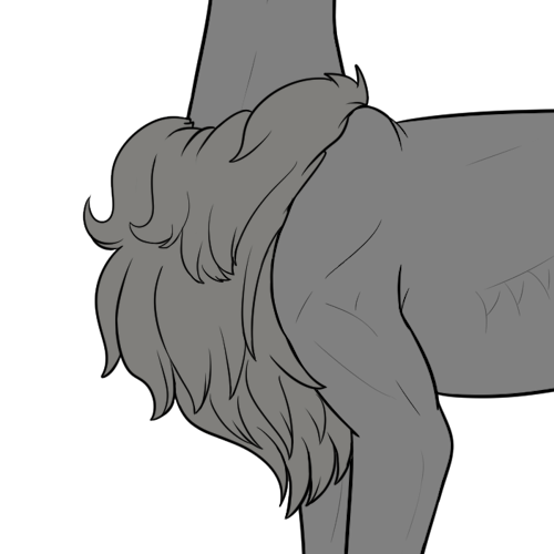 Ruffled Belly Fur (Kiji)