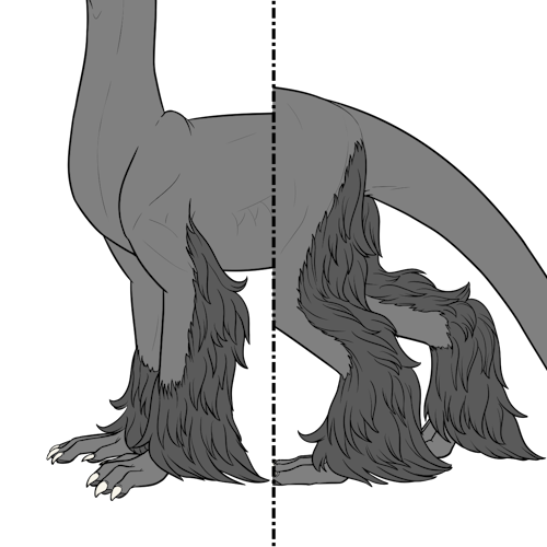 Wooly Leg Fur (Kiji)