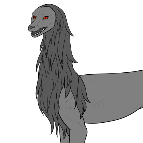 Long Mane (Kiji)