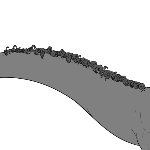 Curly Back Fur (Sub)
