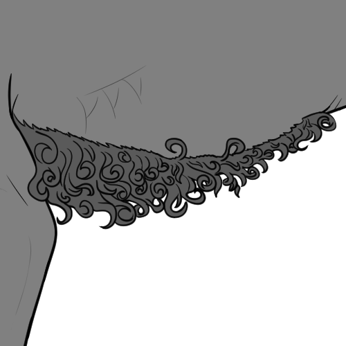 Curly Belly Fur (Kiji)