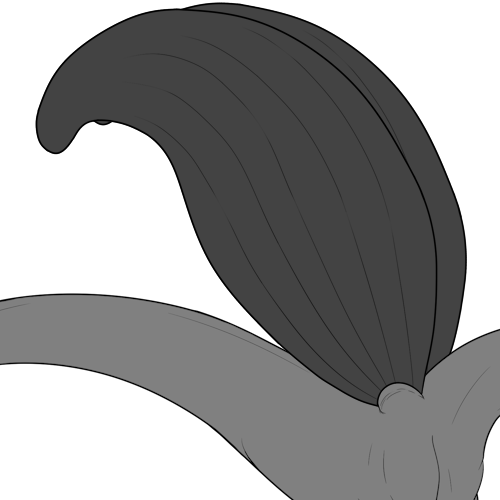 Drooped Top Wings