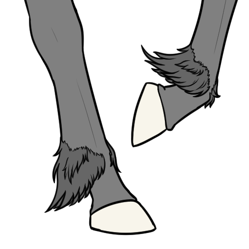 Tufted Leg Fur