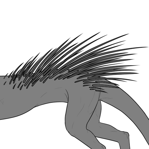 Quills