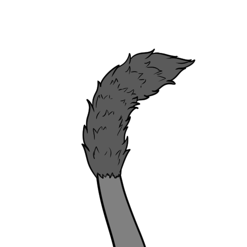 Short Tail Fur