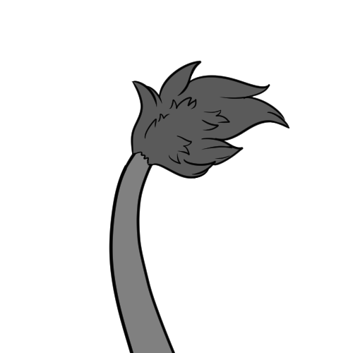Tufted Tail Fur