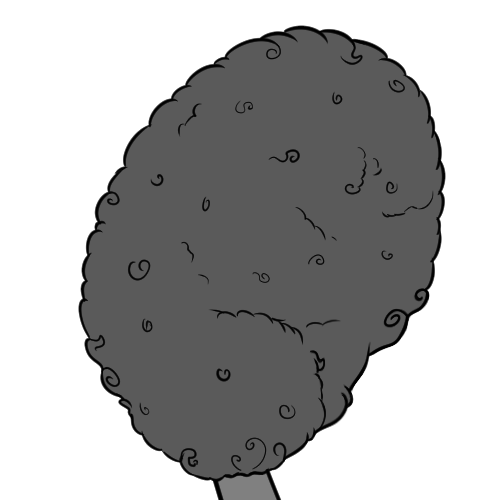 Poodle Tail Fur