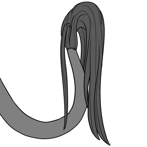 Silken Tail Fur