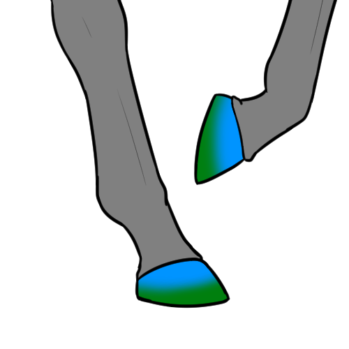 Painted Hooves