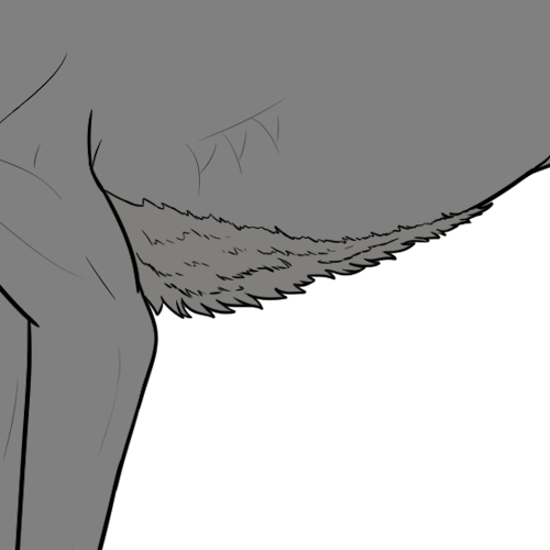 Short Belly Fur