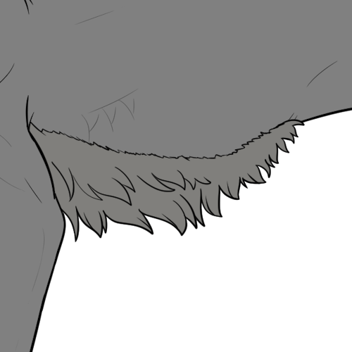 Medium Belly Fur