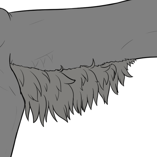 Long Belly Fur