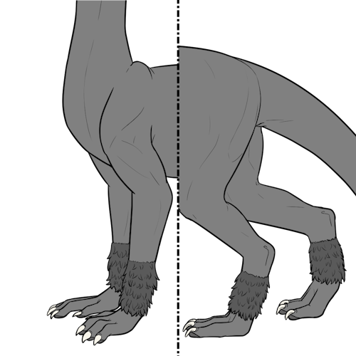 Short Leg Fur (Kiji)
