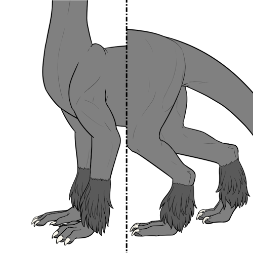 Medium Leg Fur (Kiji)