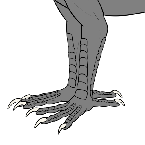 Gryphon Talons (Kiji)