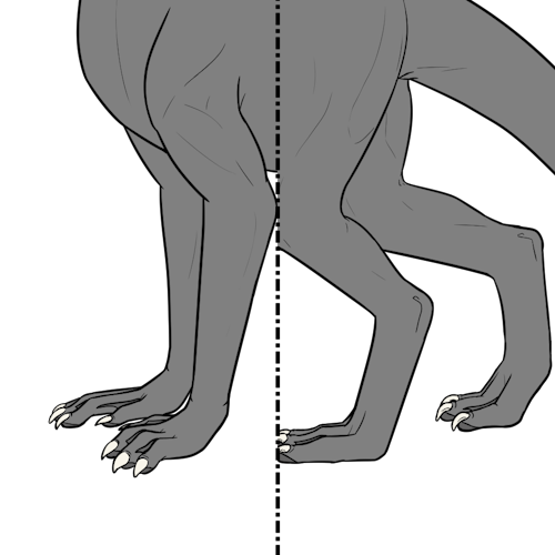 Webbed Feet