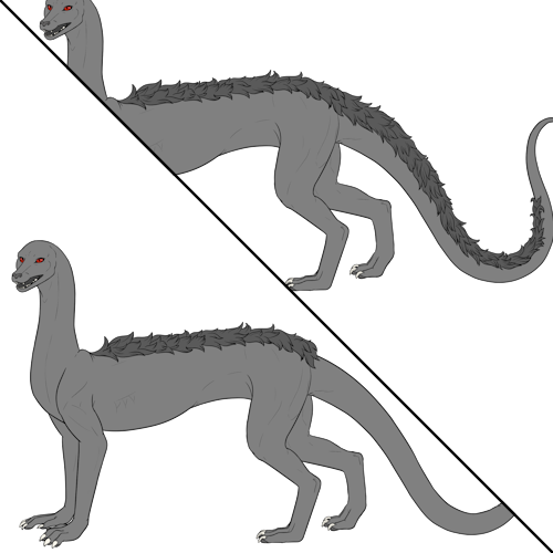 Medium Back Fur (Kiji)